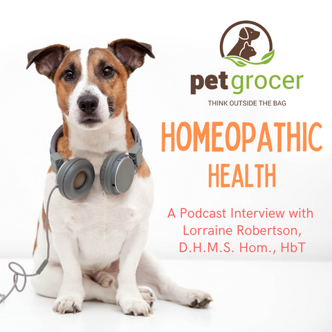 Homeopathic Health with Lorraine Robertson of Earthsong Homeopathy