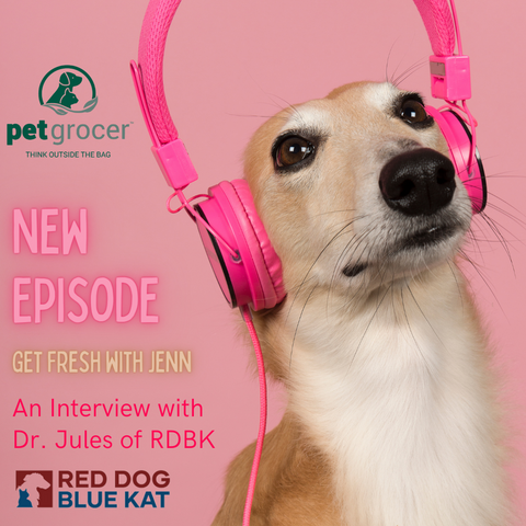 A dog wearing headphones listens to the Podcast, Get Fresh With Jenn at Pet Grocer. An Interview with Red Dog Blue Kat's Dr. Jules
