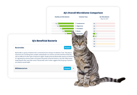 AnimalBiome microbiome testing kit results, available at Pet Grocer™