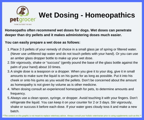 Wet Dosing Homeopathic Remedies for Dogs