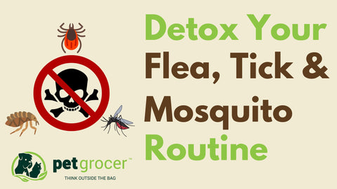 Detox your flea, tick and mosquito routine
