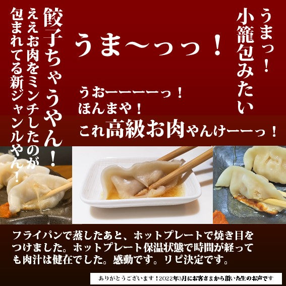 リピーターさま専用【ご贈答用（納品書ナシ】最強肉汁餃子（1箱/2箱）