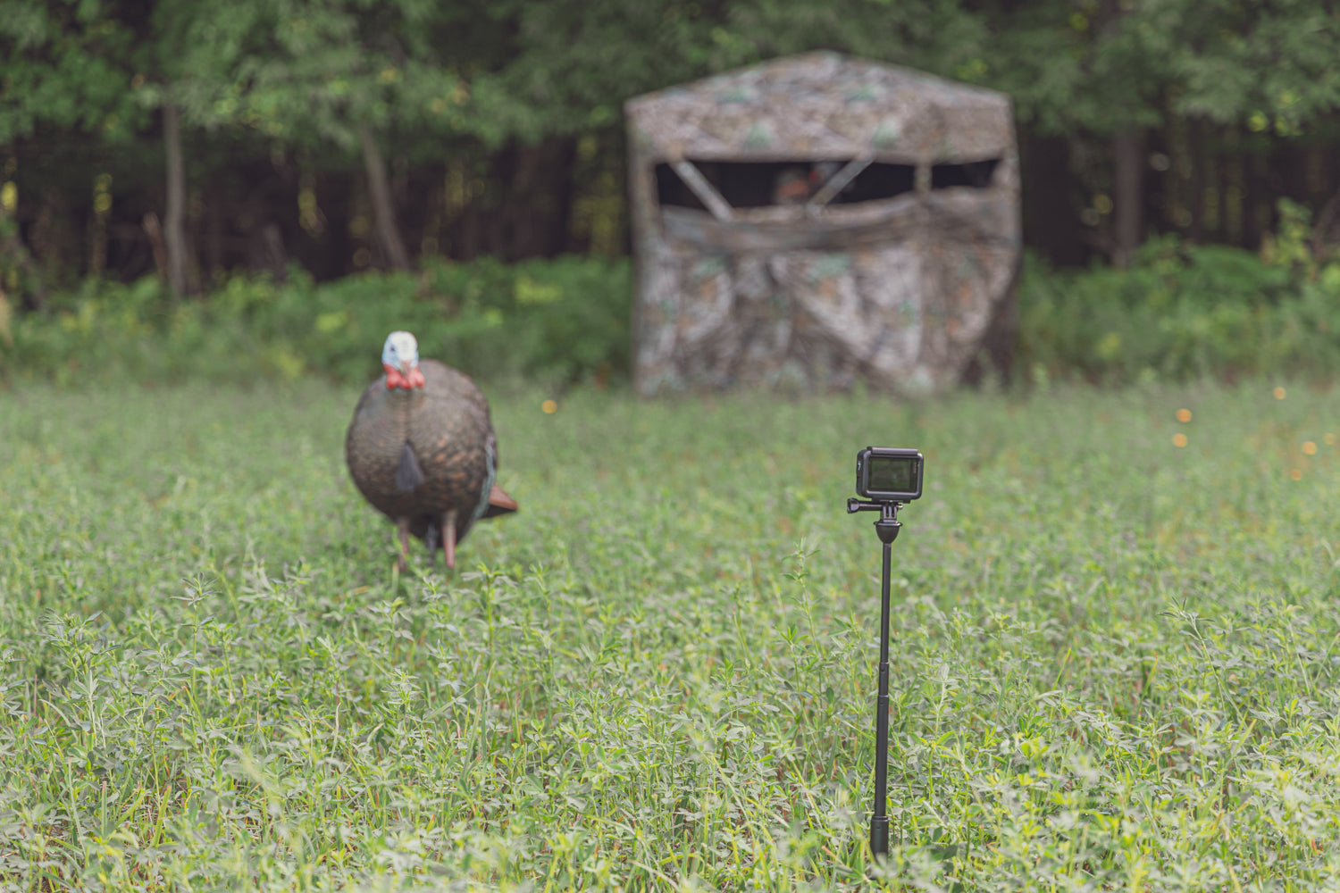 decoy pov