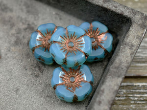 *12* 12mm Metallic Beige Washed Sky Blue Hawaiian Flower Beads, Women's