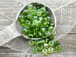 15G Mixed Green Czech 2/0 Seed Beads – The Bead Obsession