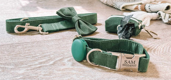 Airtag Holder For Dog Collars: The High-Tech Pet Accessory