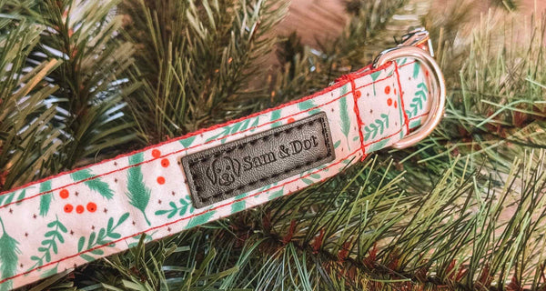 Limited Edition Red Christmas Engraved Dog Collar & Bow Tie
