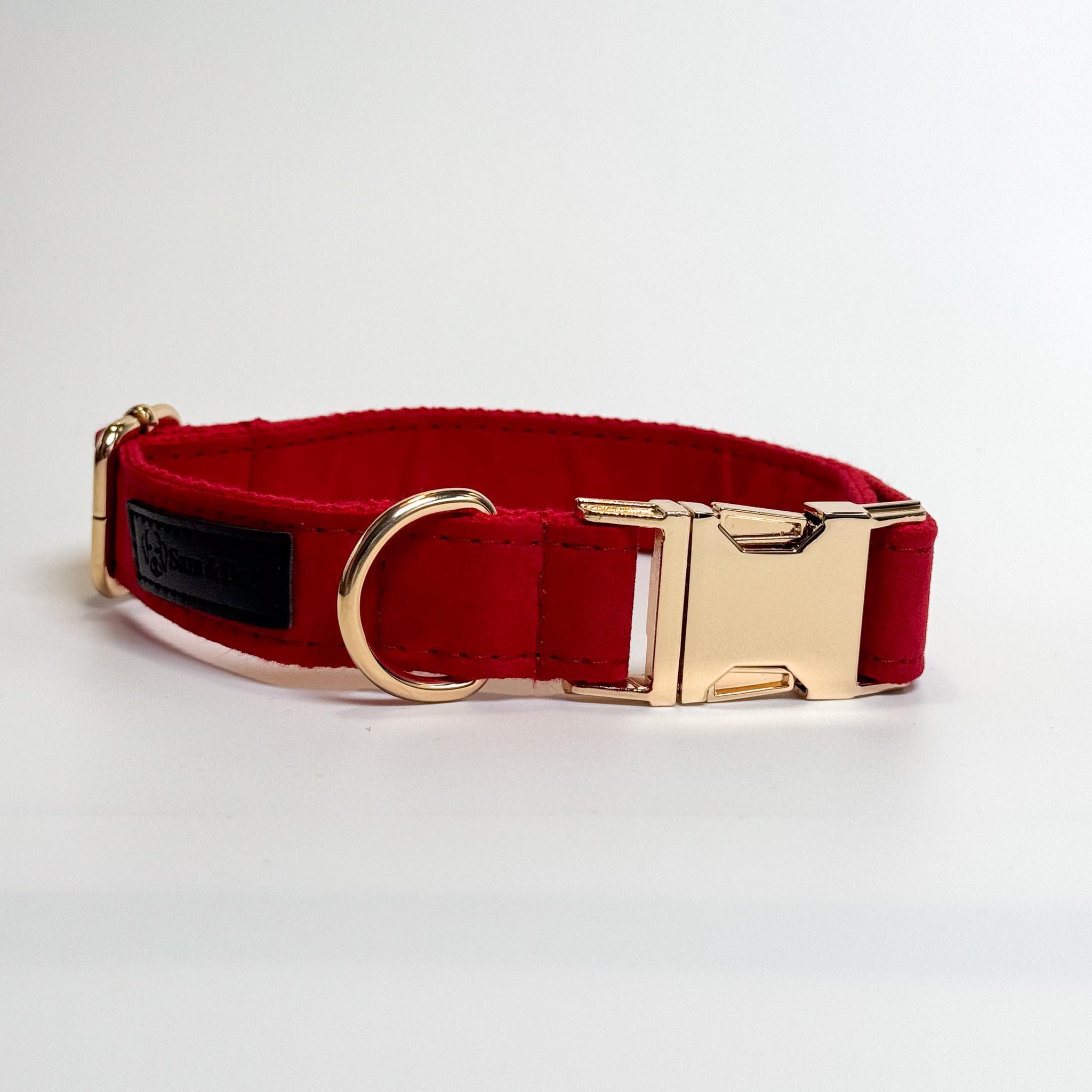 Fire Engine Red Engraved Dog Collar