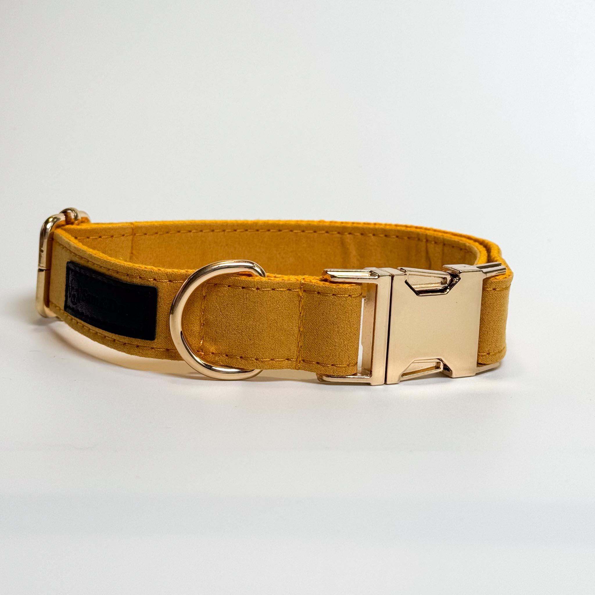 Bright Yellow Dog Collar