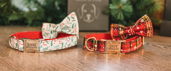 What Can I Get My Dog For Christmas? Dog Collars