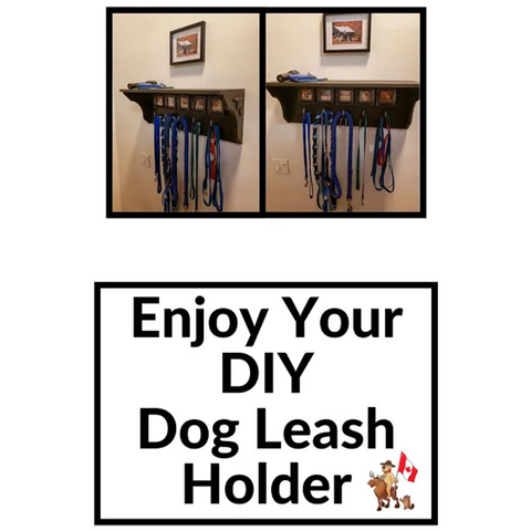 DIY Dog Leash Holder How to Make a Stylish & Functional Display for Your Dogs' Accessories