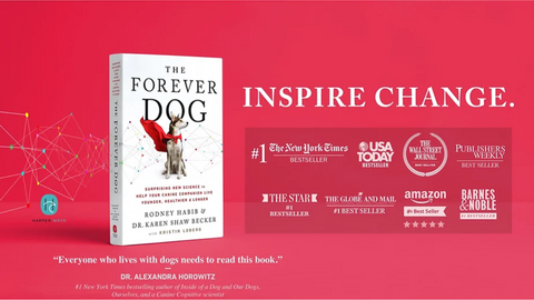 The Forever Dog: Unlocking the Secrets to a Long and Happy Life for Your Canine Companion