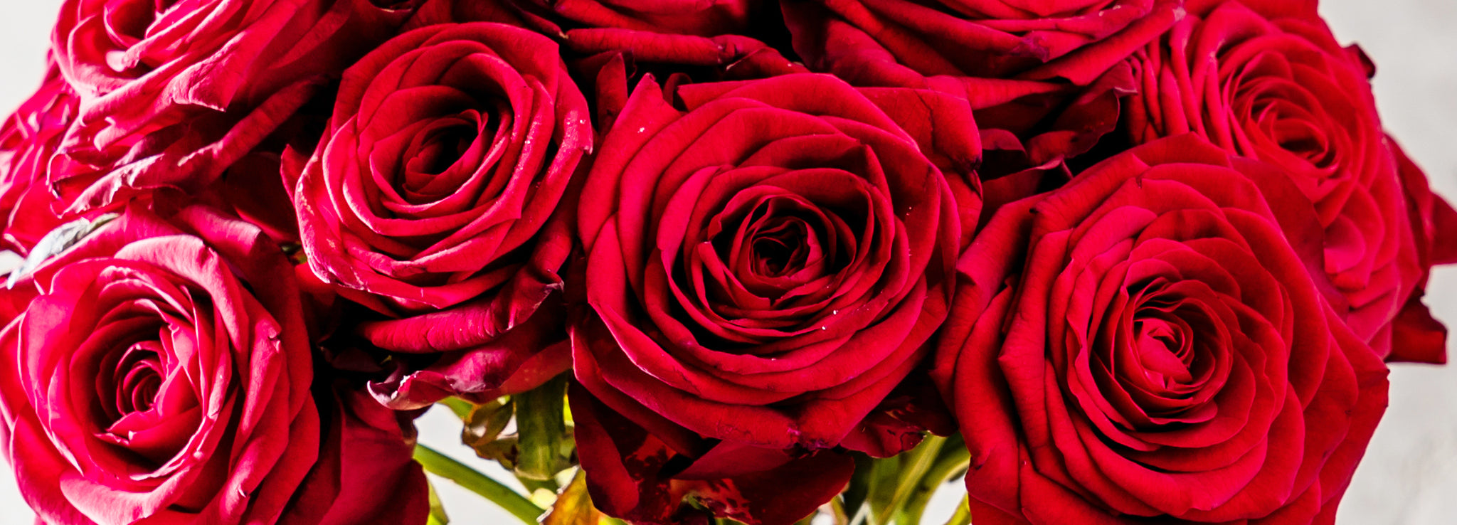 Valentine's Day Flowers