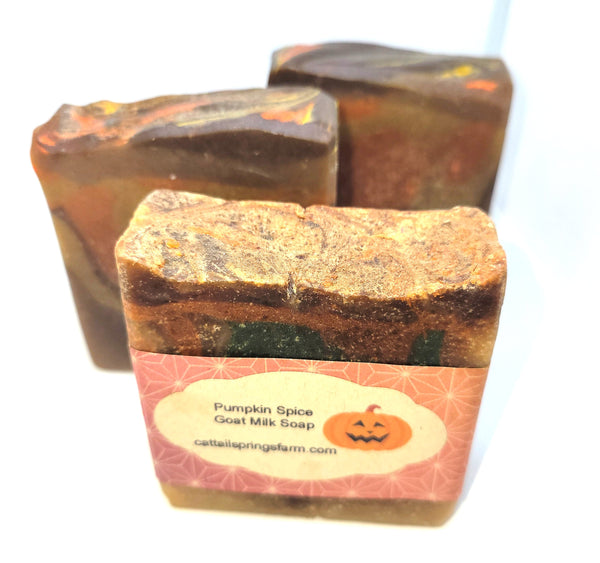 Pumpkin Spice Goat Milk Soap-7GS505