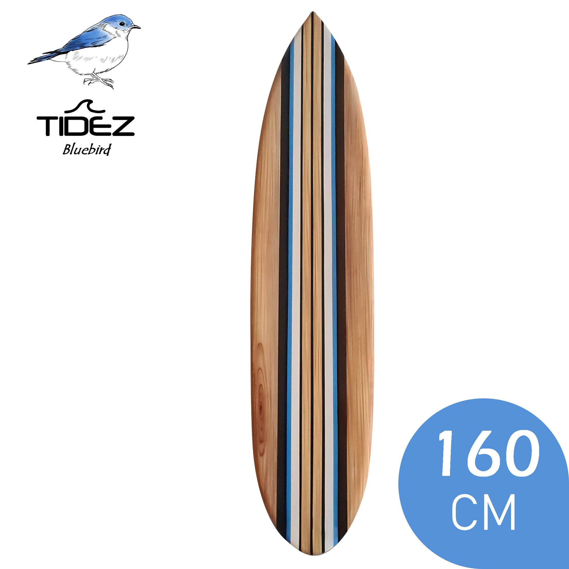 bros Ontwikkelen Niet essentieel Tidez Bluebird 160cm - Decoratieve, houten surfplank