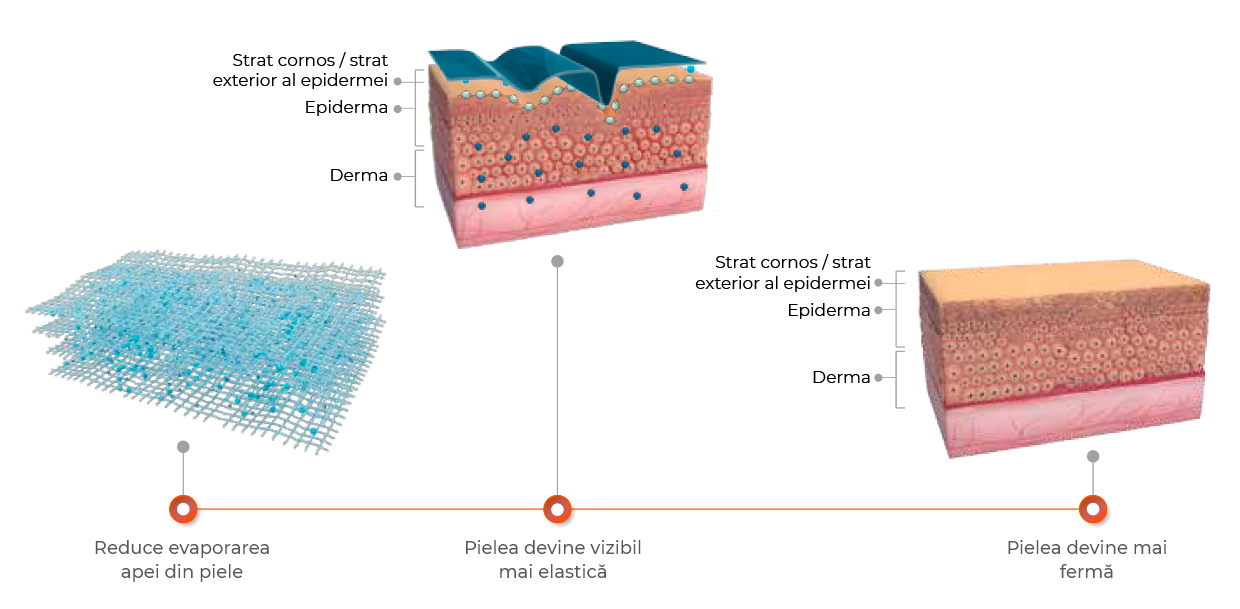 Rezultate acid hialuronic 4D | Cosmetic Plant