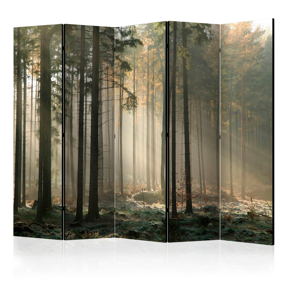 MNL-PARAVENTtc0592-1-Vouwscherm - Foggy November morning II [Room Dividers]-1