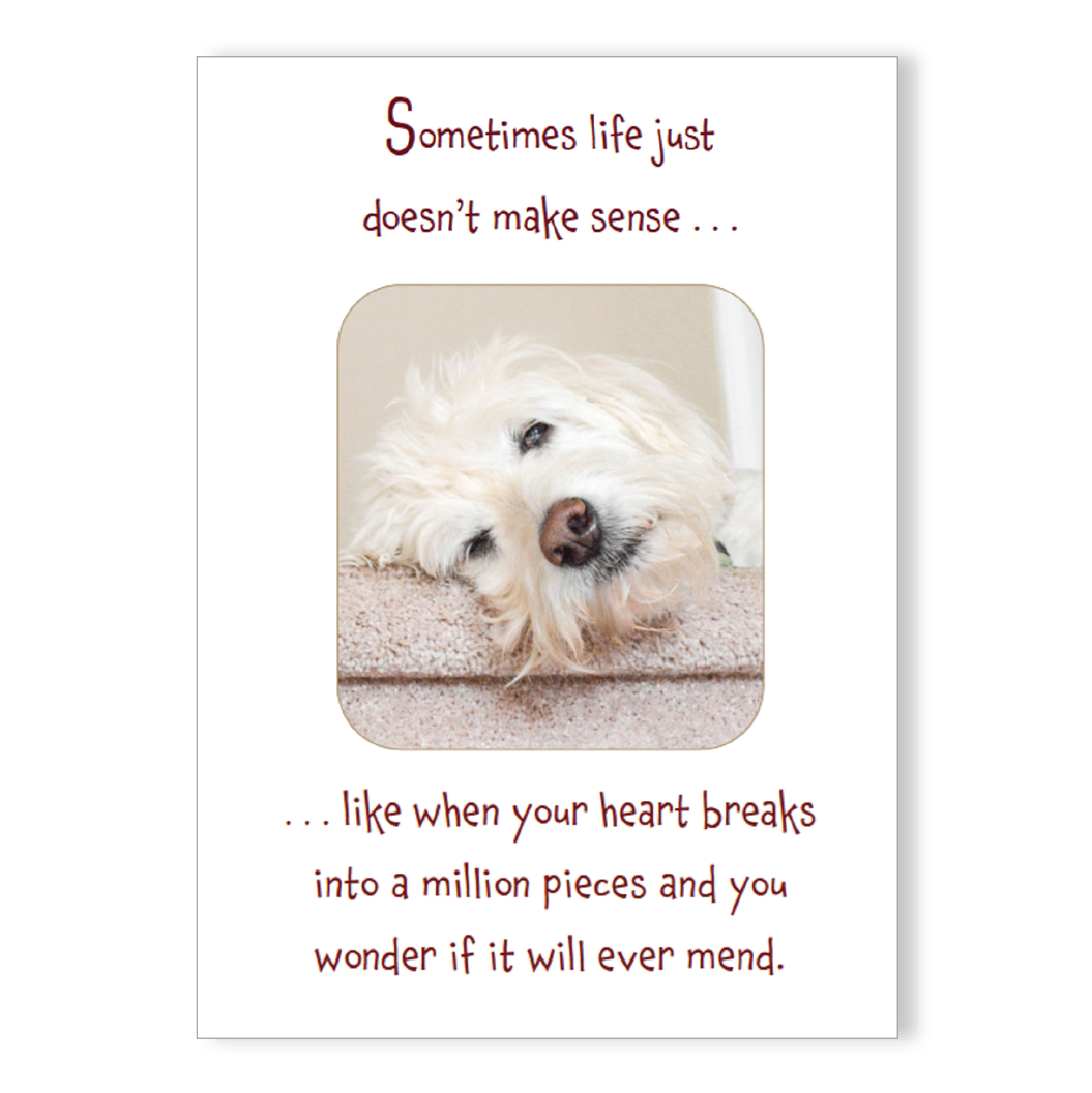can dogs sense broken hearts