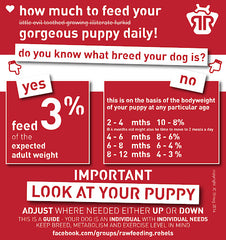 Puppy raw feeding food chart