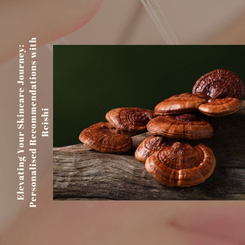 Exploring Reishi Mushroom: A Comprehensive Guide to Its Skincare Benefits