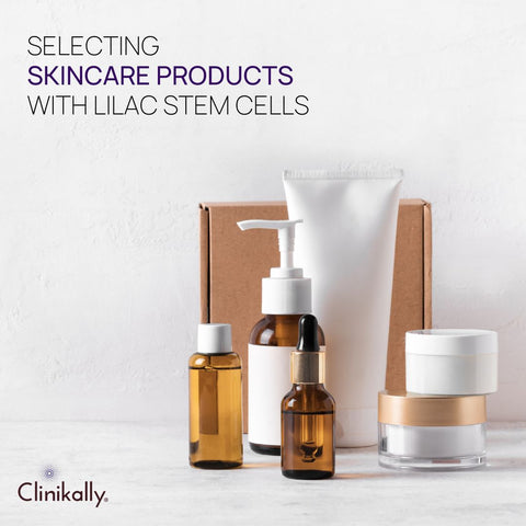 Selecting Skincare Products with Lilac Stem Cells