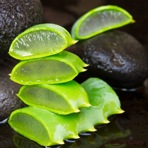 Aloe Vera: A Natural Elixir for Overall Beauty and Wellness