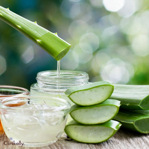 Aloe Vera anti-inflammatory properties