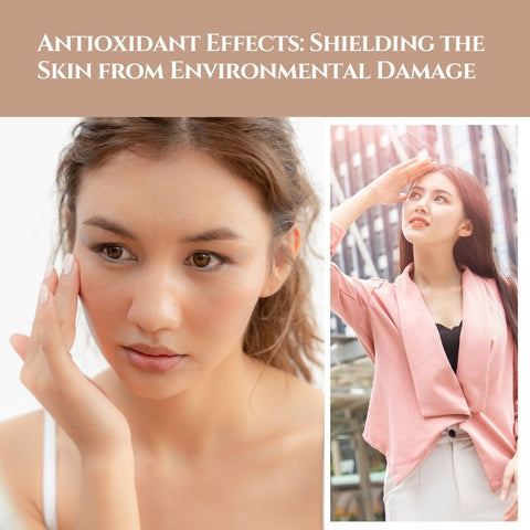 Antioxidant Effects: Shielding the Skin from Environmental Damage
