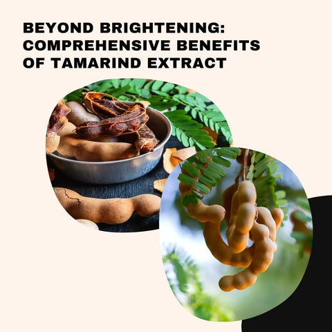 Beyond Brightening: Comprehensive Benefits of Tamarind Extract