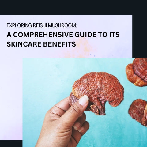 Exploring Reishi Mushroom: A Comprehensive Guide to Its Skincare Benefits