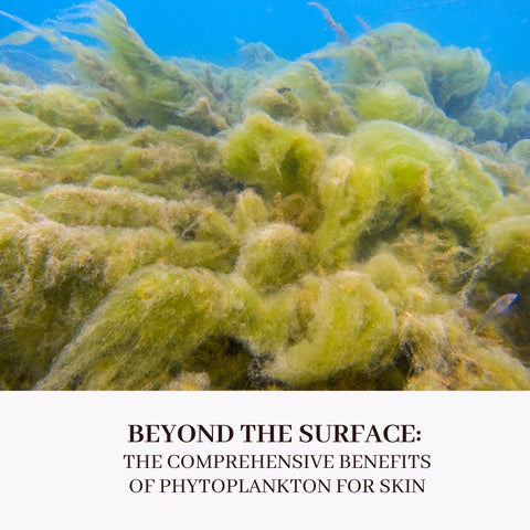Beyond the Surface: The Comprehensive Benefits of Phytoplankton for Skin