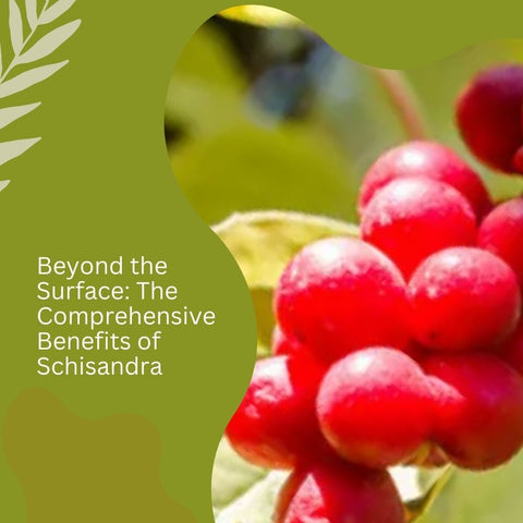 Beyond the Surface: The Comprehensive Benefits of Schisandra