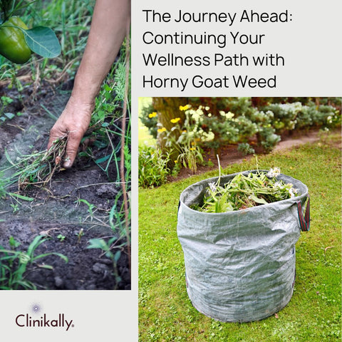 The Journey Ahead: Continuing Your Wellness Path with Horny Goat Weed