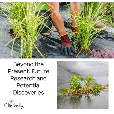 Beyond the Present: Future Research and Potential Discoveries