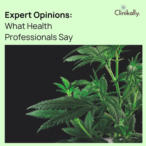 Expert Opinions: What Health Professionals Say