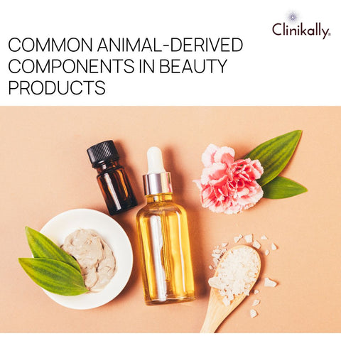 Common Animal-Derived Components in Beauty Products