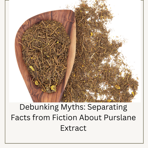 Debunking Myths: Separating Facts from Fiction About Purslane Extract