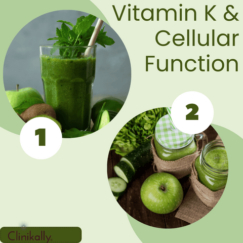 Vitamin K and Cellular Function