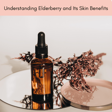 Understanding Elderberry and Its Skin Benefits