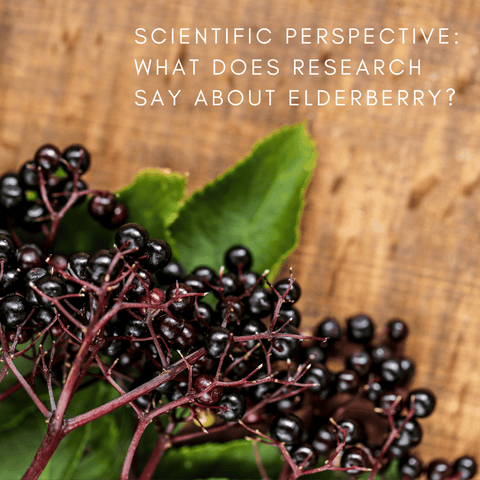 Scientific Perspective: What Does Research Say About Elderberry?