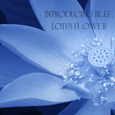 Introducing Blue Lotus Flower