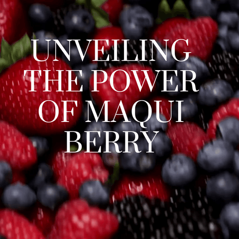 Unveiling the Power of Maqui Berry