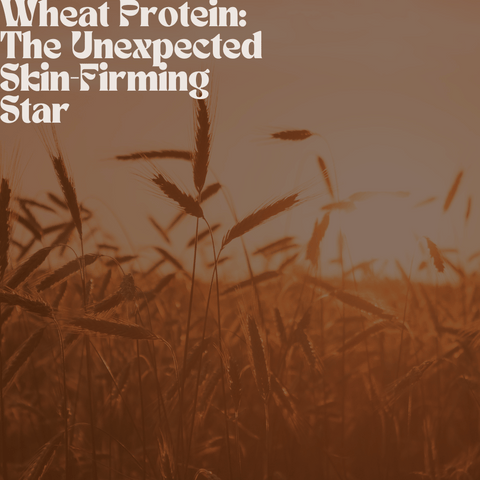 Wheat Protein: The Unexpected Skin-Firming Star
