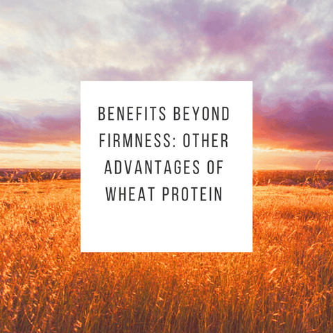 Benefits Beyond Firmness: Other Advantages of Wheat Protein