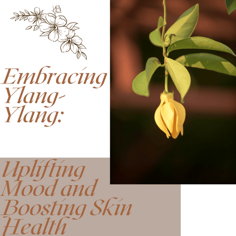 Embracing Ylang-Ylang: Uplifting Mood and Boosting Skin Health