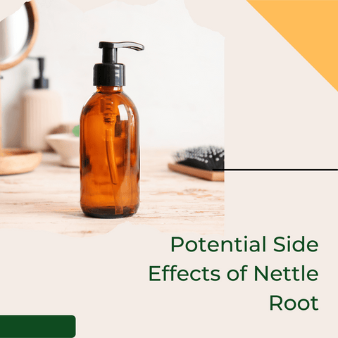 Potential Side Effects of Nettle Root