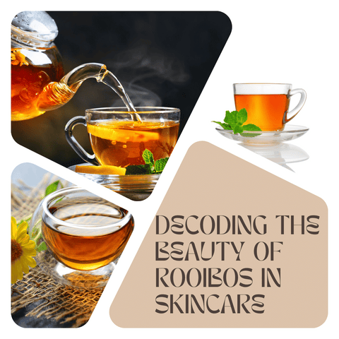 Rooibos in Skincare: The Ultimate Guide to Radiant Skin
