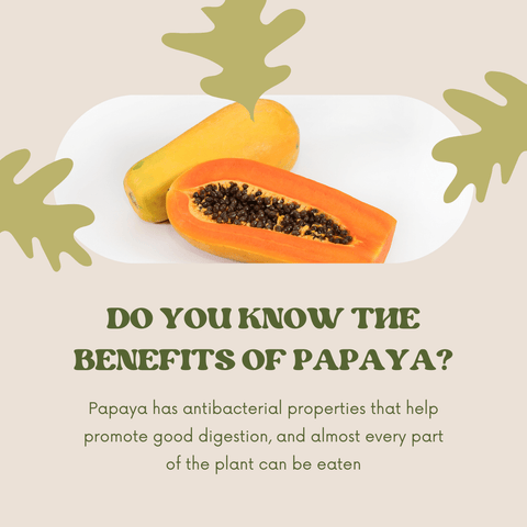 Key Benefits of Incorporating Papaya Enzyme in Skincare