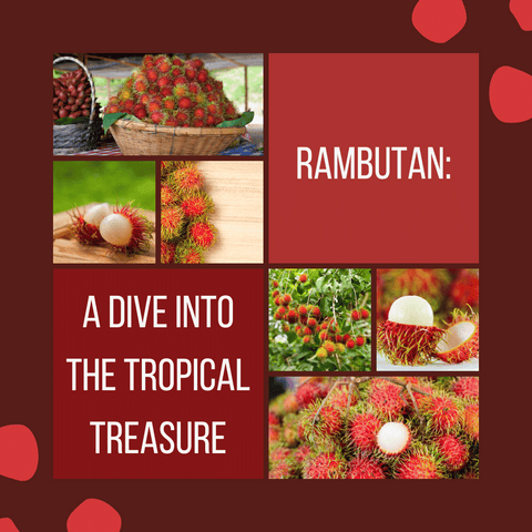 Rambutan: A Dive into the Tropical Treasure