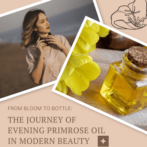 From Bloom to Bottle: The Journey of Evening Primrose Oil in Modern Beauty